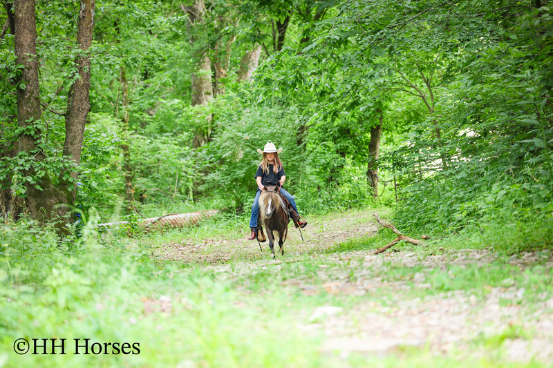VERY CUTE SMALL CHOCOLATE AND WHITE PAINT PONY MARE, YOUTH RIDDEN