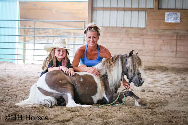 VERY CUTE SMALL CHOCOLATE AND WHITE PAINT PONY MARE, YOUTH RIDDEN