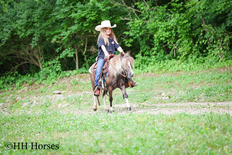 VERY CUTE SMALL CHOCOLATE AND WHITE PAINT PONY MARE, YOUTH RIDDEN