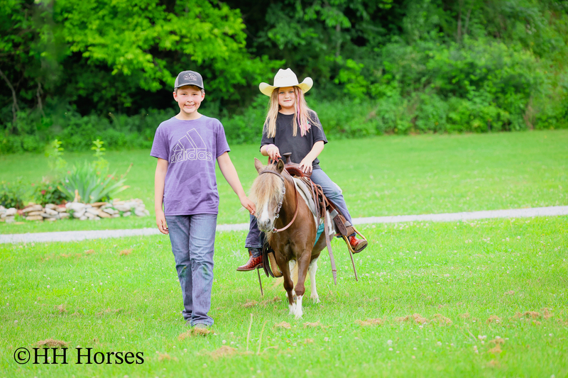 VERY CUTE SMALL CHOCOLATE AND WHITE PAINT PONY MARE, YOUTH RIDDEN