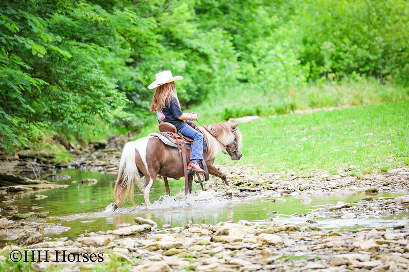 VERY CUTE SMALL CHOCOLATE AND WHITE PAINT PONY MARE, YOUTH RIDDEN