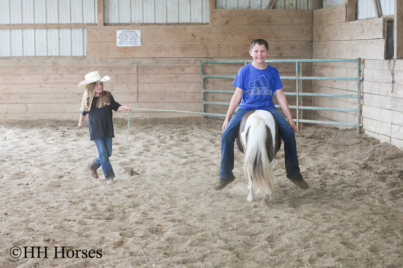 VERY CUTE SMALL CHOCOLATE AND WHITE PAINT PONY MARE, YOUTH RIDDEN