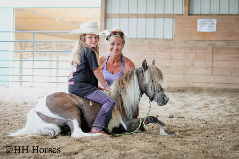 VERY CUTE SMALL CHOCOLATE AND WHITE PAINT PONY MARE, YOUTH RIDDEN