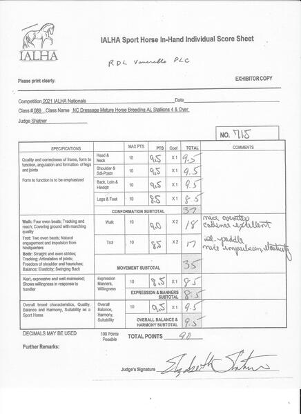 9 times National Champion PRE Stallion at Stud