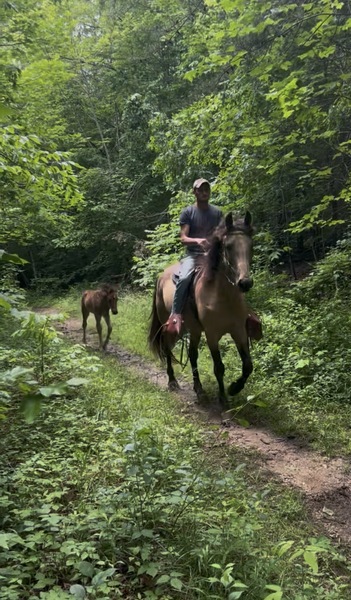 Easy To Ride Buckskin Mare With Foal
