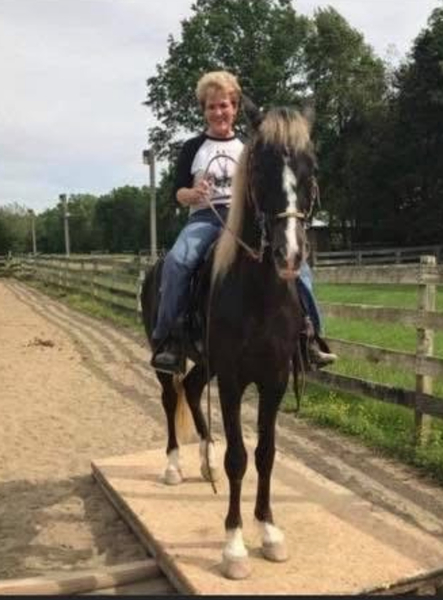 15.3 Novice Safe Sweet Trail Horse 