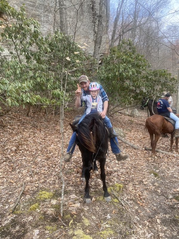 14.3 Sweet Family/Beginner Trail Horse 