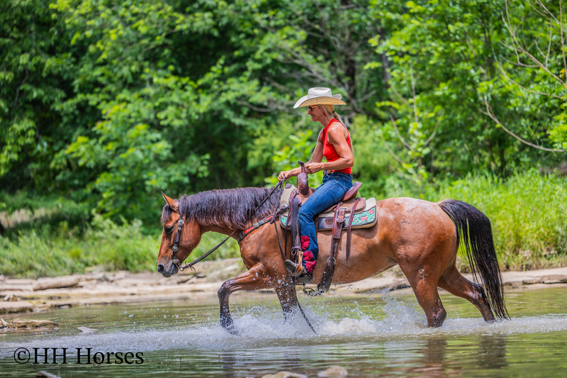 REAL NICE WELL BROKE WELL BRED AQHA BAY ROAN MARE, ROPES, RANCH WORK, TRAIL RIDE, GENTLE, YOUTH RIDDEN