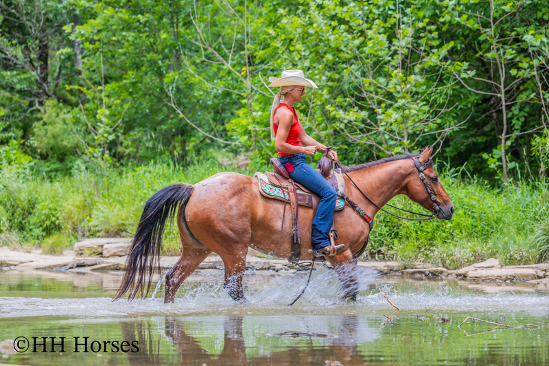 REAL NICE WELL BROKE WELL BRED AQHA BAY ROAN MARE, ROPES, RANCH WORK, TRAIL RIDE, GENTLE, YOUTH RIDDEN