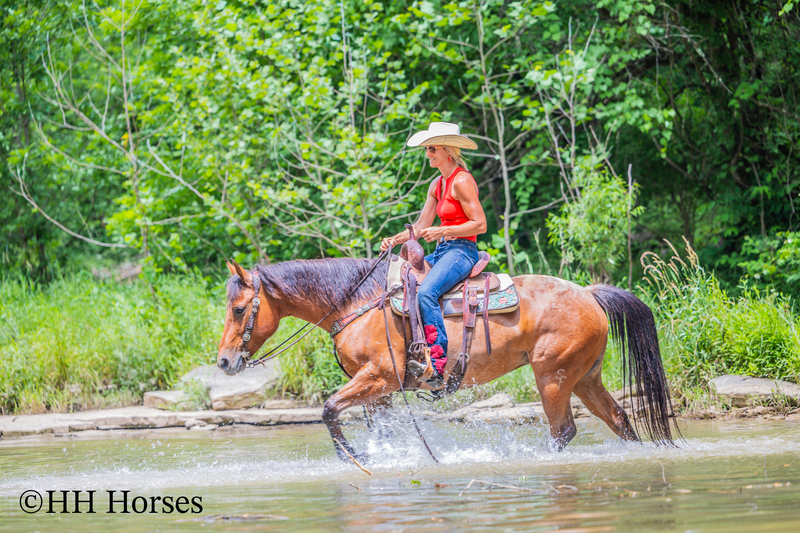REAL NICE WELL BROKE WELL BRED AQHA BAY ROAN MARE, ROPES, RANCH WORK, TRAIL RIDE, GENTLE, YOUTH RIDDEN