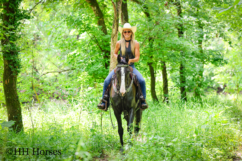 FLASHY, NATURALLY GAITED, GENTLE BLACK KENTUCKY MOUNTAIN MARE, SMOOTH, GENTLE, TRAFFIC SAFE