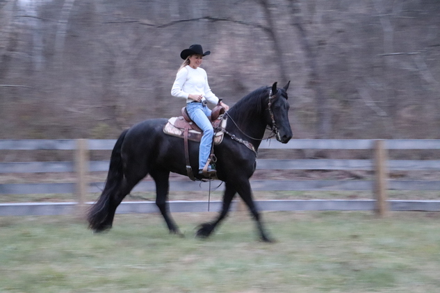 Öffen（オッフェン） pointed-FRIN / NAVY ☆ Sweater Cotton Black | Fendi