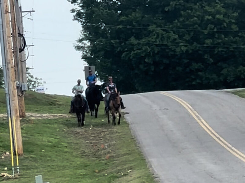 Beautiful Bay Roan All Around Ranch/Trail 