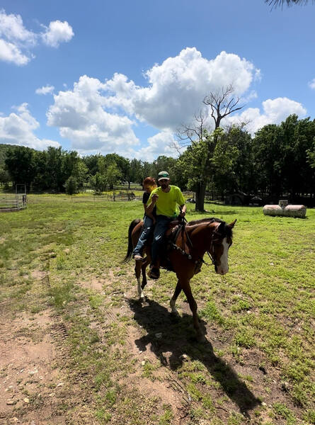 Beautiful Bay Roan All Around Ranch/Trail 