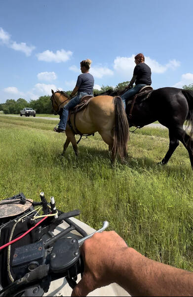 Gorgeous Dun & Palomino Geldings Ranch/Trail Deluxe