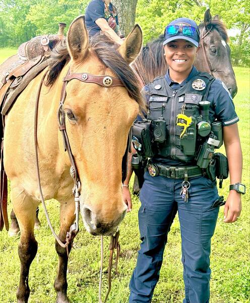 Gorgeous Dun & Palomino Geldings Ranch/Trail Deluxe