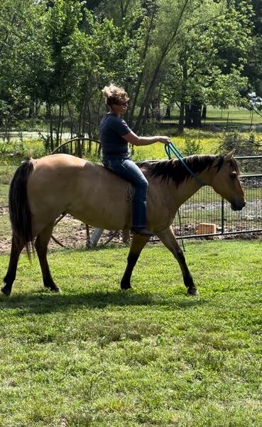 Gorgeous Dun & Palomino Geldings Ranch/Trail Deluxe