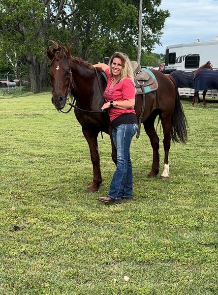 Beautiful Liver Chestnut Trail/Ranch SMOOTH riding Gelding!