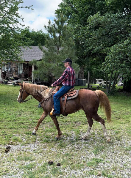 Amazing trail/highway/pleasure Horse