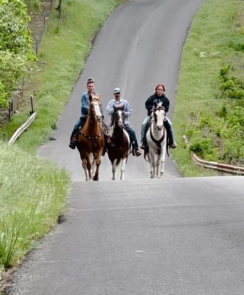 Amazing trail/highway/pleasure Horse