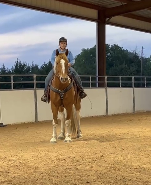 Sweet Talented Tobiano UNICORN!!