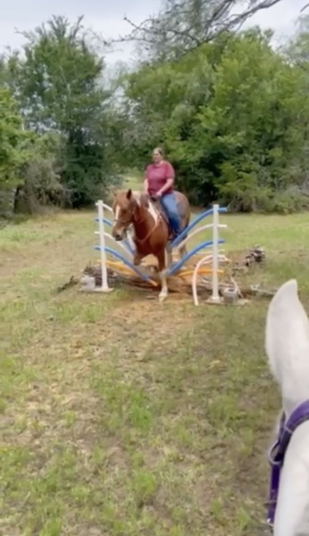 Sweet Talented Tobiano UNICORN!!