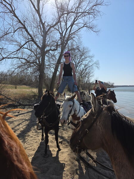 Sweet Talented Tobiano UNICORN!!