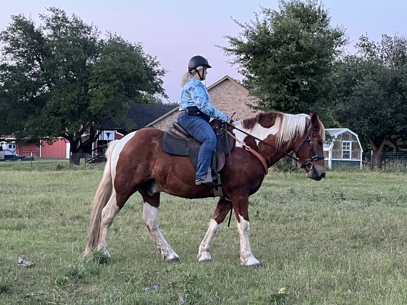 Sweet Talented Tobiano UNICORN!!