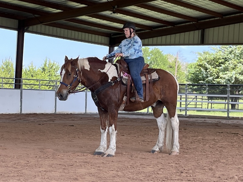 Sweet Talented Tobiano UNICORN!!