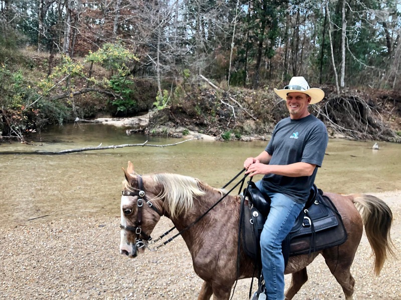 Smooth Gaited Neck Reining Novice Safe Trail Horse