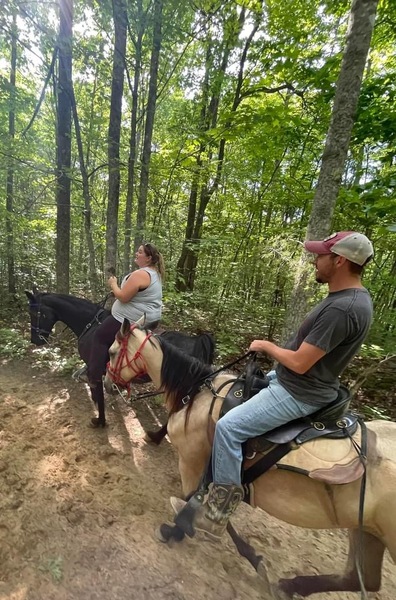 Smooth Easy To Ride Buckskin Trail Horse 