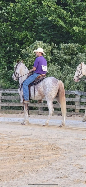 15.2 Strawberry Roan Trail Horse Deluxe!