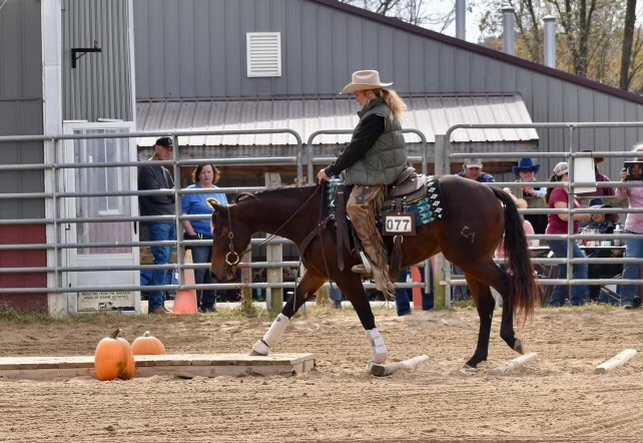 3 YEAR OLD 14.2 HAND BAY MARE ***VIDEO***