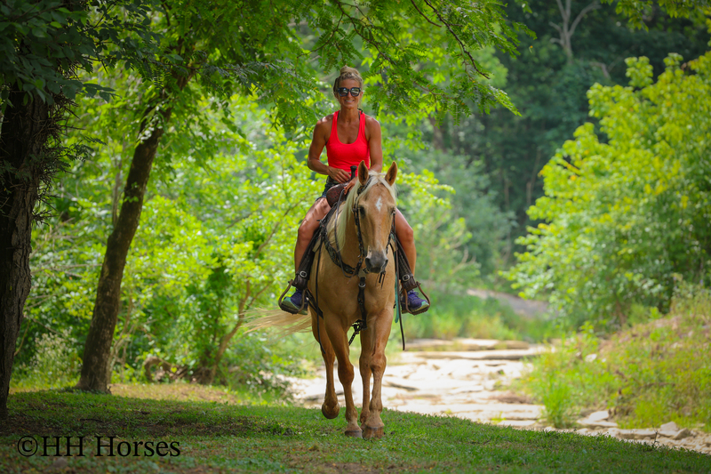 SUPER GENTLE, EXTRA SAFE, FAMILY FRIENDLY REGISTERED AQHA PALOMINO GELDING