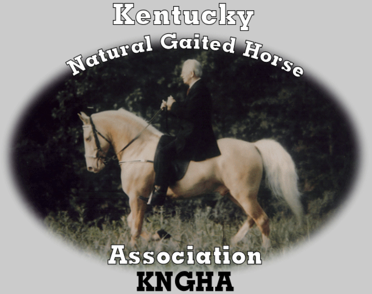 Welcome to Kentucky Natural Gaited Horse Association