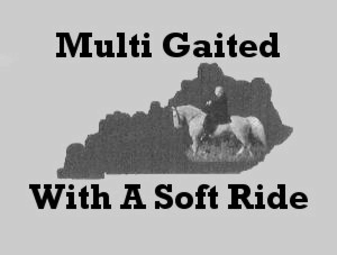 Welcome to Kentucky Natural Gaited Horse Association